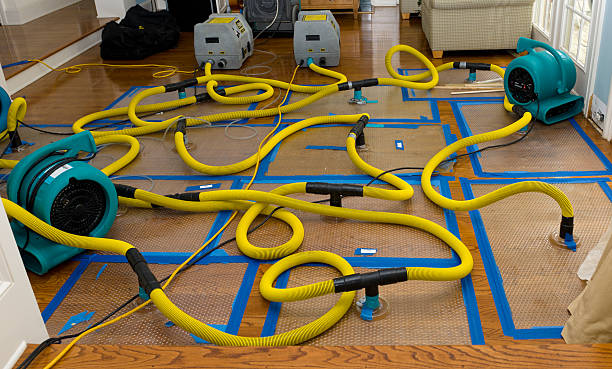 Professional Water Damage Repair technician working in Simi Valley, CA
